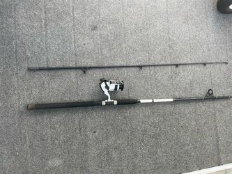 DAIWA FISHING COMBO 8’ pole and reel