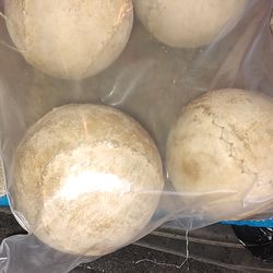 14" Clincher Softballs (4)