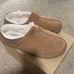 Tasman Uggs 