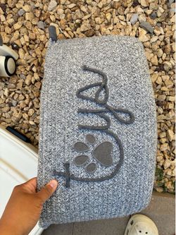 Dog storage