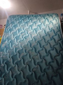 Free twin mattress