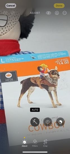 Dog Costume Cowboy Halloween Size Large