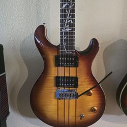 Electric Guitar