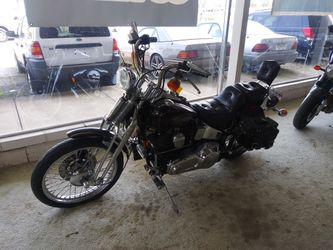 1991 harley Davidson Springer soft tail