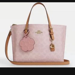 Coach Powder Pink Purse