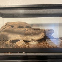 Kingsnake Enclosure 
