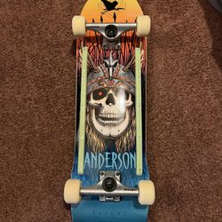 Andy Anderson Powell Peralta Flight Deck 8.45” Complete Skateboard 
