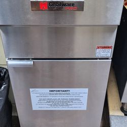 Professional Fryer