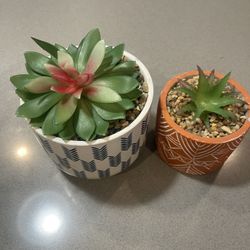 Fake Succulents Fake Plants