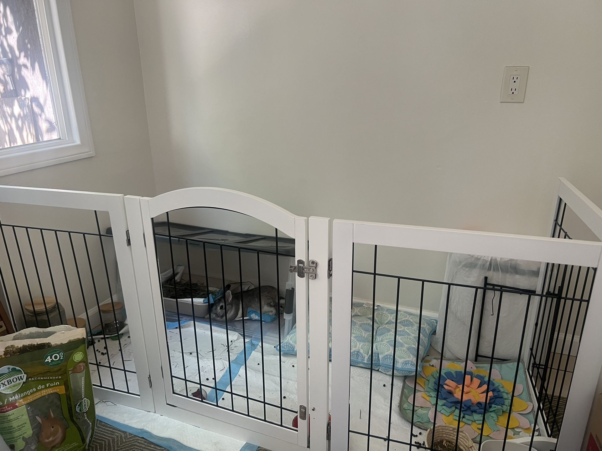 Rabbit Enclosure 