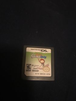Nintendo ds game