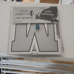 Just Married Car Magnets