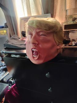 Halloween Costume Trump