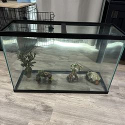 Fish Tank 