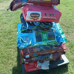 Dog Food Buy All For $150