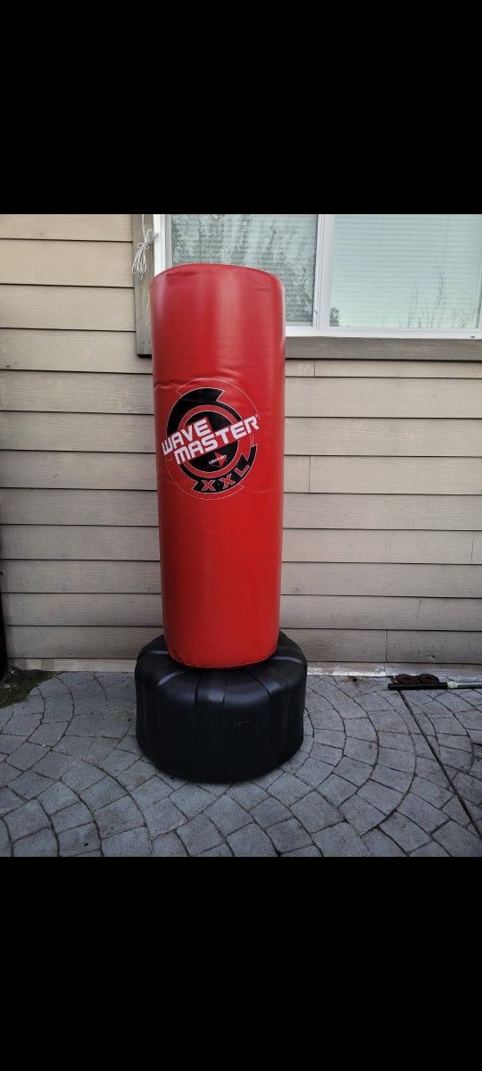 XL punching kicking bag π