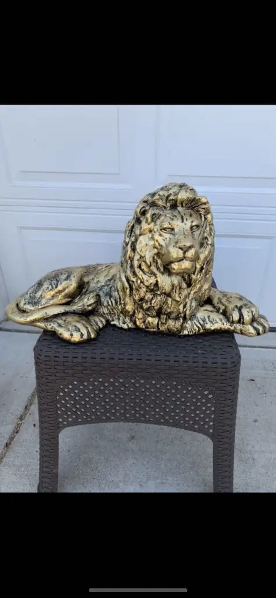 Golden Laying Lion
