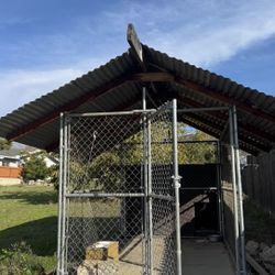 Large Dog Kennel With Solid Wood House 