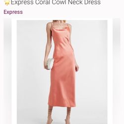 Express Dress Brand New 