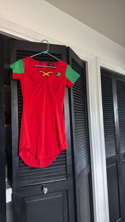 Sm Robin costume