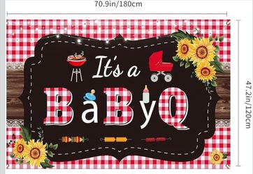 Baby-Q Shower/Gender Reveal Decorations