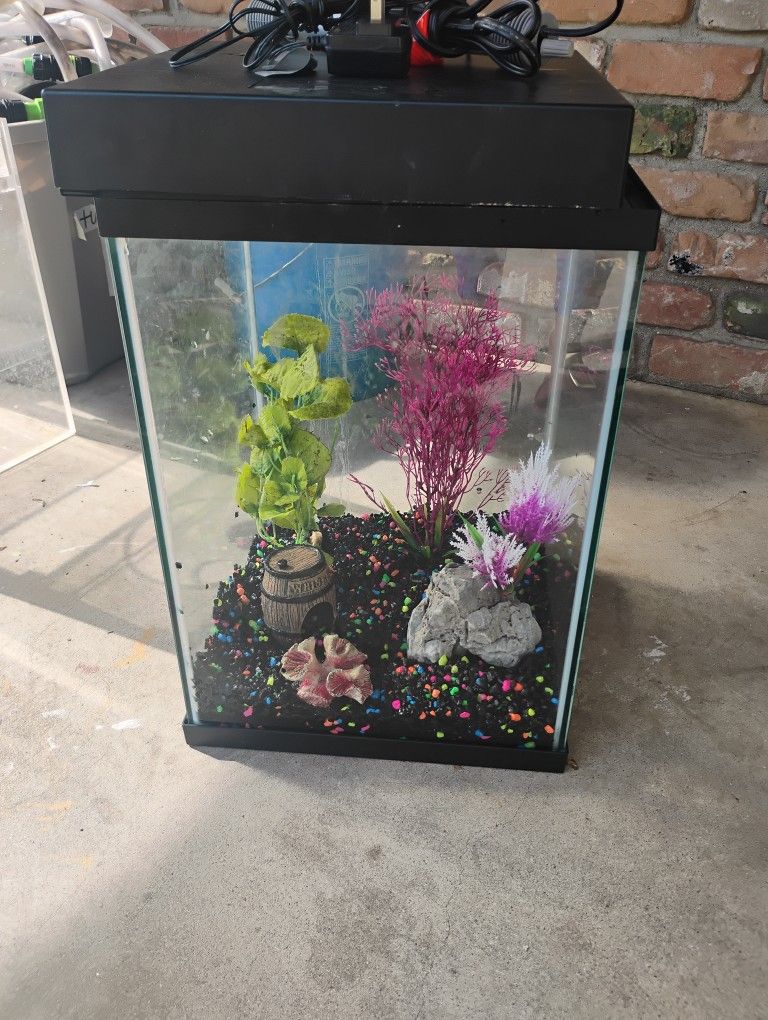 10 Gallon Tall Aquarium