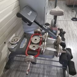 Weights Bench Bike