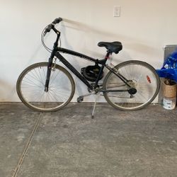 Costco Infinity Bike (7 Gear)