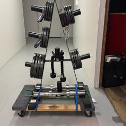 Weight Rack And Dumbbells