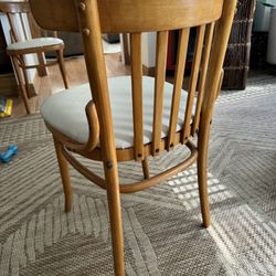 Antique Refinished 6 Chairs From Chech Republic 