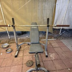 Bench Press And Bar And Hurdles