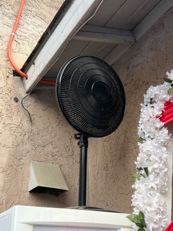 Fan