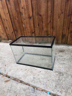 10 gallon aquarium