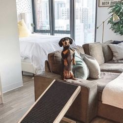 Dog Ramp 