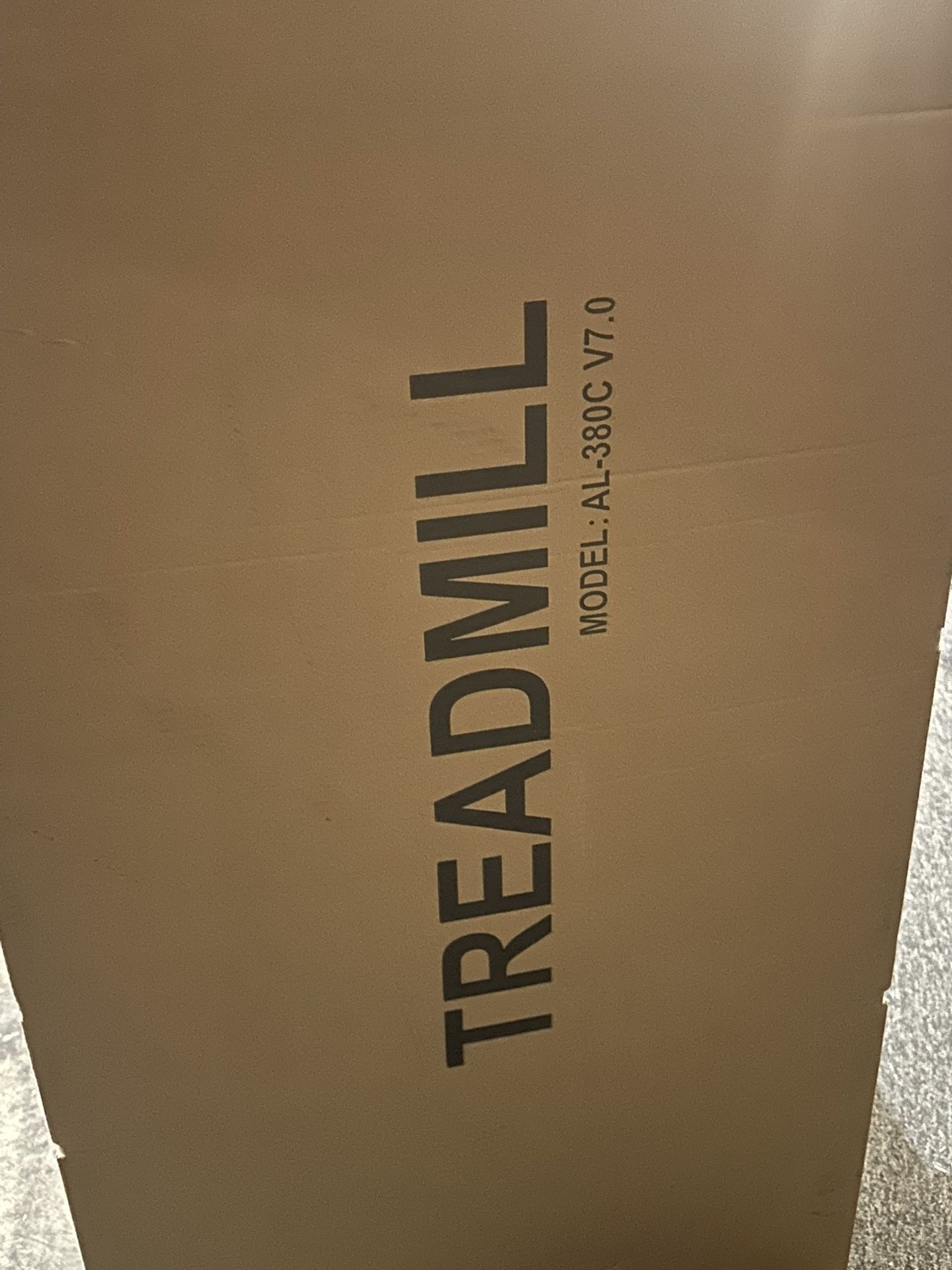 Treadmill With Grab Bars