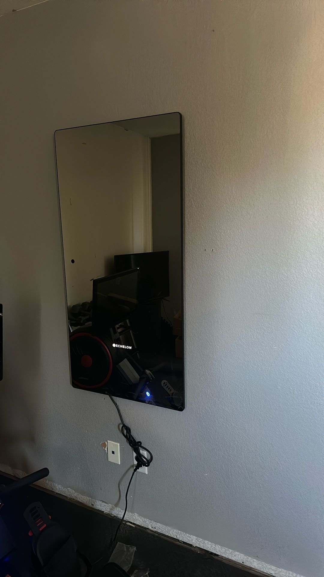 Echelon Mirror
