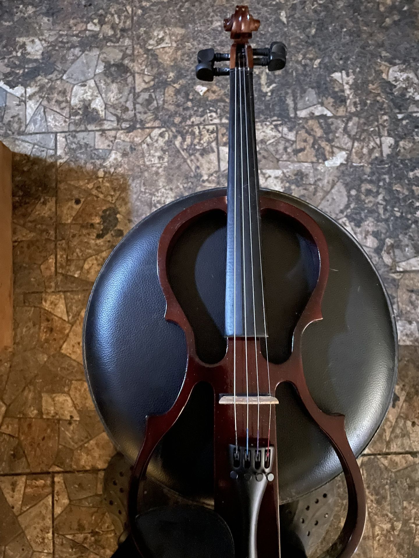 Electric Violin Brand New With Case