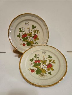 QTY 2 Sun Fashion "Strawberry Patch" vintage stoneware 8" salad plates,
