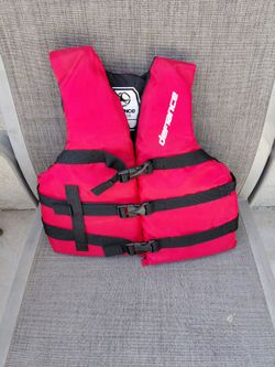 Vest