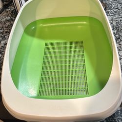 Cat Litter Needs To Go