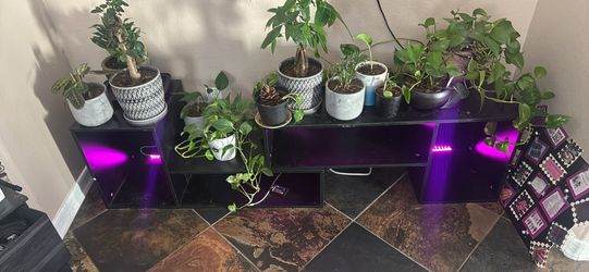 TV stand