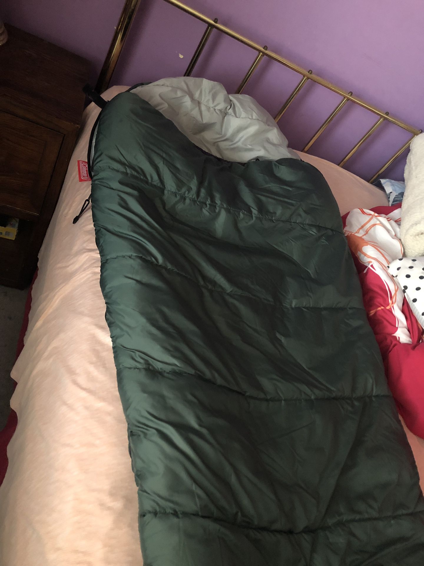 Coleman Adult mummy sleeping bag