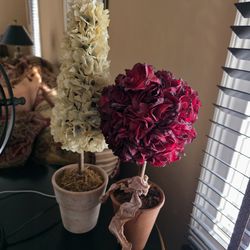 Dried Flower Decor imperfect condition