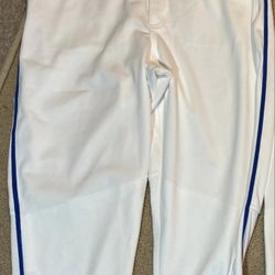 Brand New Nike Knickers White Blue Piping Baseball Pants Men Sizes  Large, XL