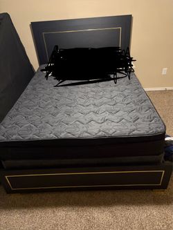 Bed/couch