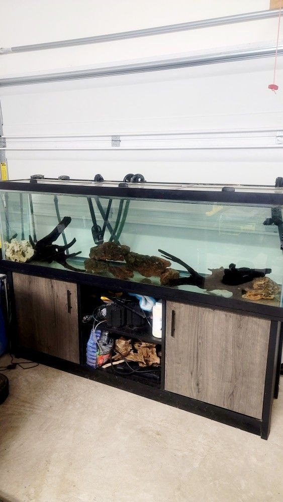 fish tank aquarium