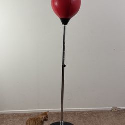 Punching Bag