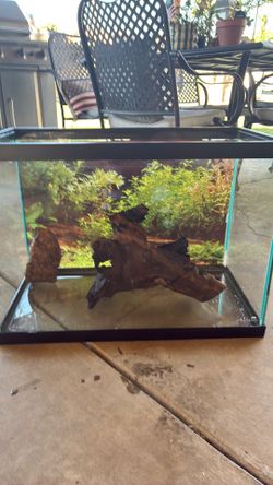 20 gallon fish tank