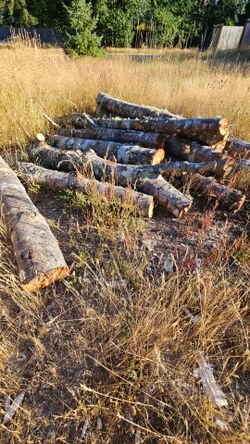 Alder wood for smoking or mushrooms
