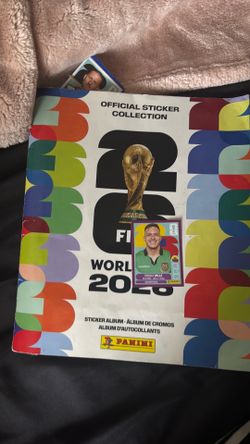 Rare Panini sticker